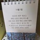 Dear.이주허니S2 이미지