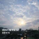 일기] 회사 경력 8년차, 30대중반 중소기업 3개월 퇴사통보 후기 쉬었음 청년 행복한 mz세대 백수생활 시작