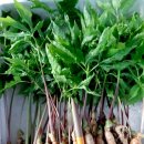 교산농장 이미지