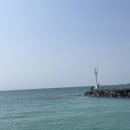 스테이더몽 이미지