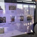 농업회사법인 정원 | [롸갱's 후기]아이와 함께한 장성 가족 외식 장소 추천 장성 농업회사법인시우팜 방문후기