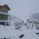 대관령 지니하우스 이미지