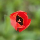 태희농장 | 20260416-치과 공포를 이겨낸 '큰일' 치른 하루