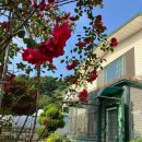 수남초교 이미지