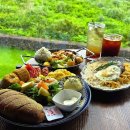 대성목장 | 제주 동쪽 브런치카페 포레스텔라 인 제주 방문 후기｜제주 송당 맛집 구좌 맛집 스누피가든 맛집 제주...