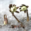 {대표기도}*2월 첫째 주일 낮 예배기도문 이미지