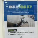 서리풀성모정형외과의원 네이버블로그