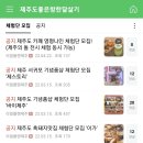 리얼플랜제주