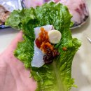 명품횟집 | 주문진 횟집 해송횟집 싱싱했던 명품 모둠회 후기