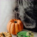 스튜라이크 이미지