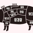 춘천뒷고기 네이버블로그