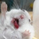 타오름 이미지