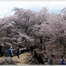 선진리성 Daum카페