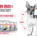 로얄케어 이미지