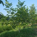 덕곡농장 이미지