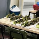 화정족발 이미지