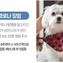 연제종합동물병원 이미지