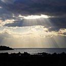 제주클래식위미 이미지