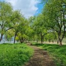 갈산공원(중간) 이미지