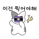 예쁘다 경주 이미지