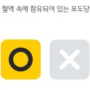 1210 KB Pay 오늘의 퀴즈 이미지