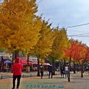 문경새재 도립공원 이미지