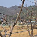 산뜨락힐링펜션 이미지