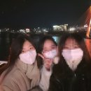 하이마레