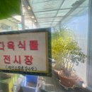 평택청아초등학교 | 충남 천안 평택 청주 서울 소품샵 인테리어 소품 이은주아트갤러리 (중아트갤러리) 천안점