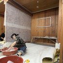 한국전기안전공사부산울산지역본부 | 2025 도배기능사 자격증 취득, 울산도배타일기술학원 후기