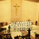 카톨릭 소년 소녀합창단 정기연주회 이미지