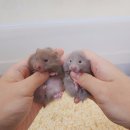 (주)모프 이미지