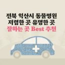 다나음동물병원 | 전북 익산시 동물병원 유명하고 잘하는 곳 가격 저렴한 곳 Best 6 추천