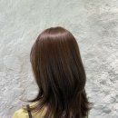 세한미용실