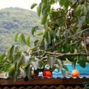 의령 상로재 | 감성 의령여행에 한옥뷰 맛을 더하다