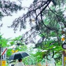 주말은.... 이미지