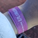 렌즈미역곡 | 학교 축제에 최애가 오는 건에 관하여 (최예나 2열 직관 후기)