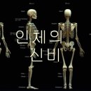 뇌·심장·뼈 맘껏 써라, 더 강해질 것이니( 펌글 ) 이미지