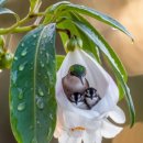 단골약국 이미지