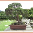 서울시립구로노인종합복지관 이미지