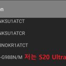 1234피시 이미지