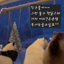 철인태권스쿨 이미지