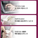 지노 | 50대여자 유산균 추천 지노톡스 갱년기 유산균 후기