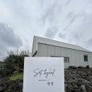 셋,별 | 제주여행 동쪽 감성 독채숙소 셋,별 후기 및 예약꿀팁(내돈내산)