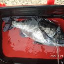 남해-318 이미지