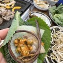 쌈마이대패중촌점 이미지