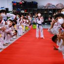 인성튼튼태권도 이미지