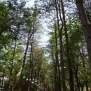 호암농장 | 2025 수도권 근교 당일치기 여행 추천 힐링 스팟 완벽 정리