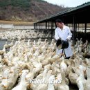 32단어 쥬쥬 맛있게 먹기요^^ 이미지