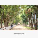 냉수농장 이미지